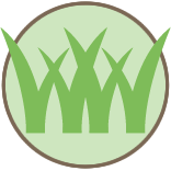 Ongoing Outdoor Maintenance Pros
