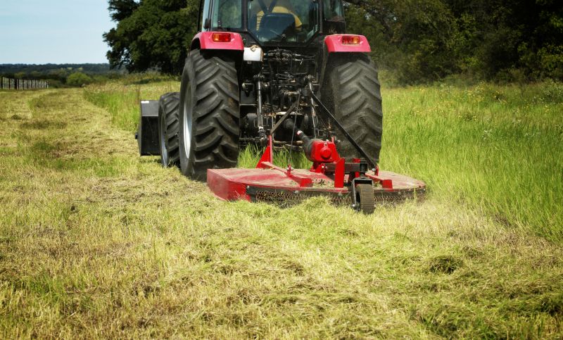 Brush Mowing Service in Waldorf, MD