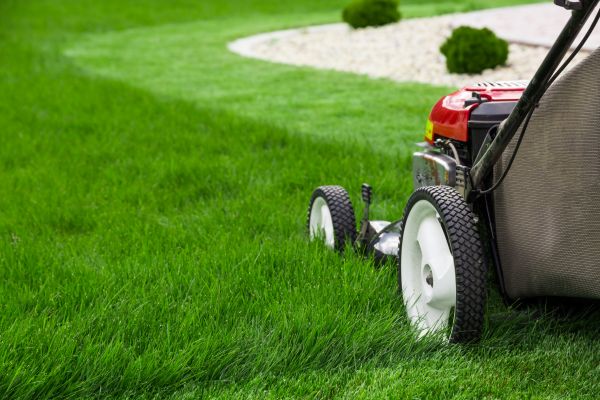 Overgrown Grass Removal