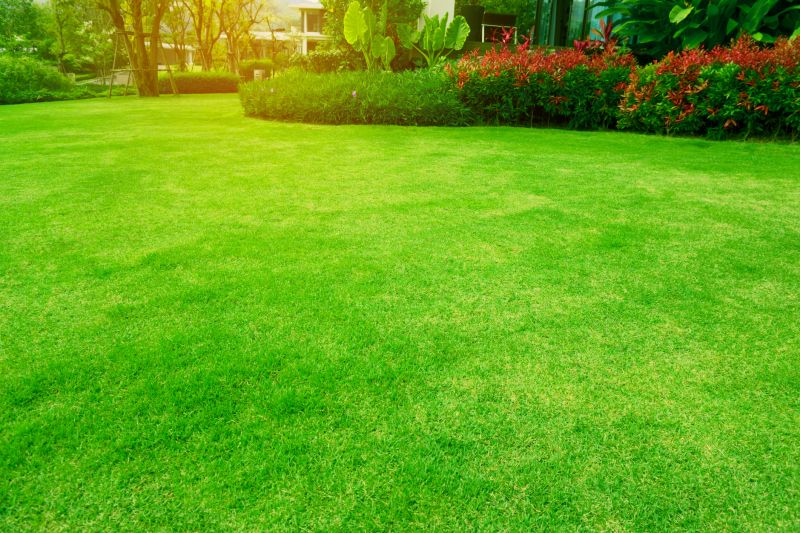 Ongoing Outdoor Maintenance