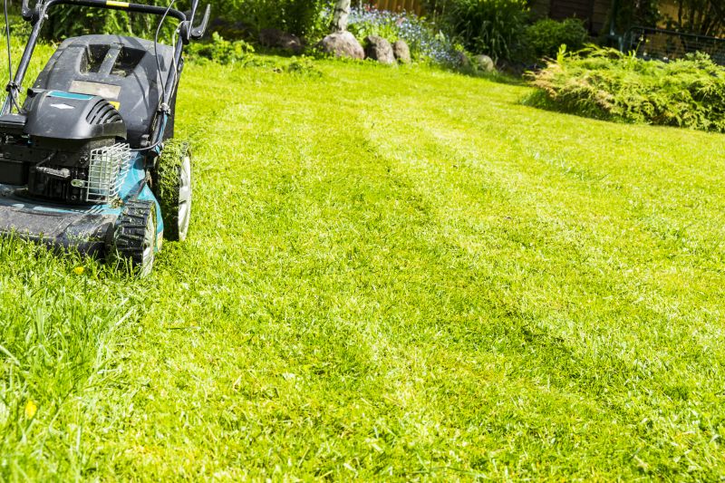 Brush Mowing Service in Waldorf, MD