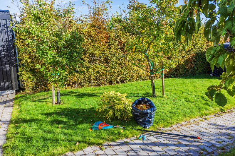 Commercial Leaf Removal in Honolulu, HI