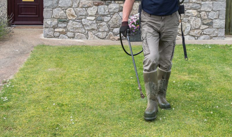 Crabgrass Prevention in Ventura County, CA