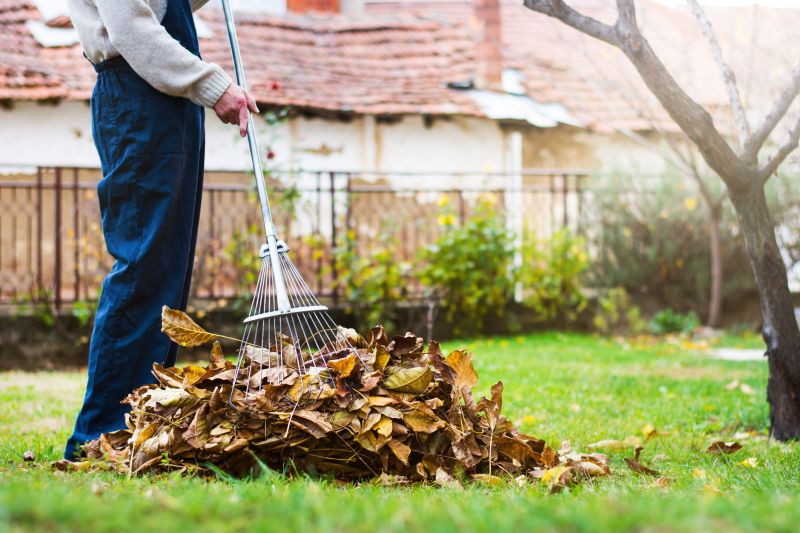 Clear Yard with Raked Leaves