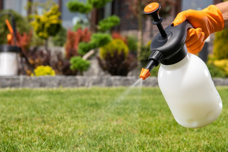 Fall Lawn Fertilizing in Honolulu, HI