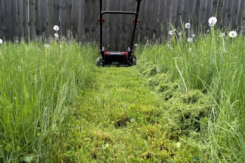 Field Mowing in Duluth, MN