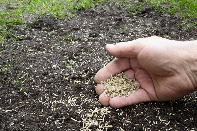 Grass Seed Installation in Ventura County, CA