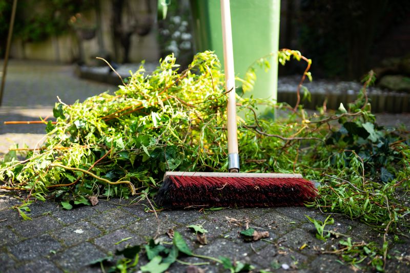 Landscaping Cleanup Service in Honolulu, HI