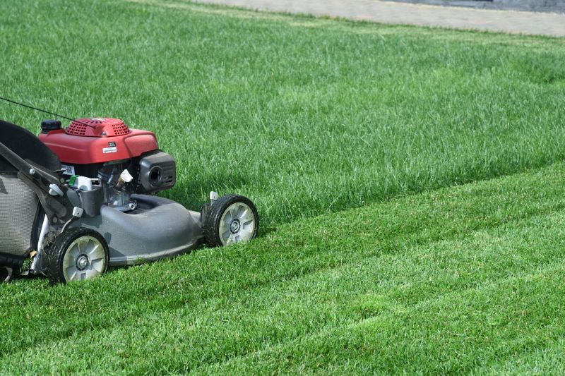 Lawn Equipment in Use