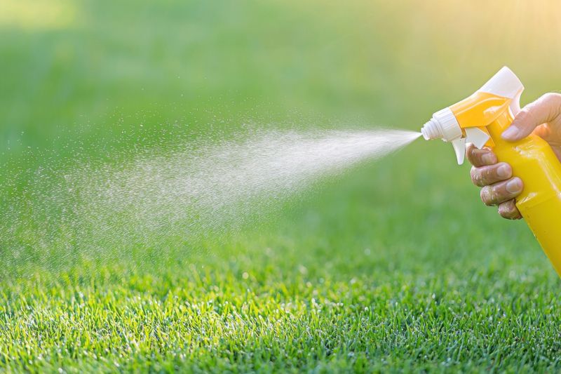 Lawn Weed Control in Aiken, SC