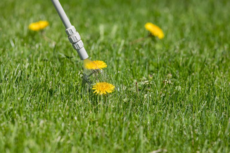 Lawn Weed Treatment in Aiken, SC