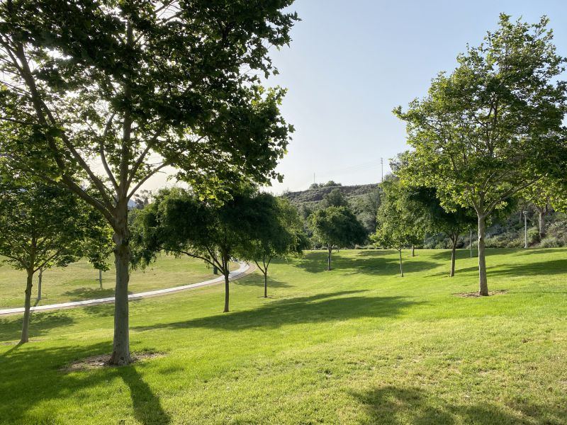 Ongoing Outdoor Maintenance