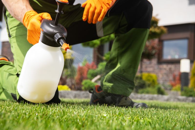 Pampas Grass Control in Rockwall, TX