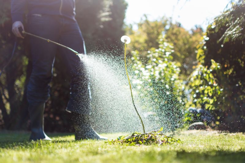 Pampas Grass Control in Aiken, SC