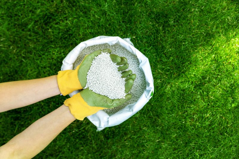 Soil Topdressing in Honolulu, HI