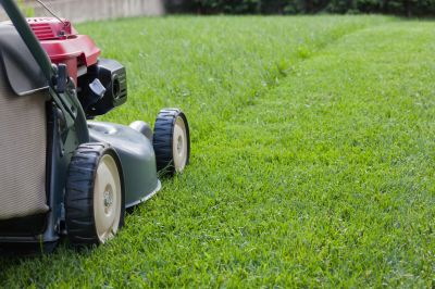 The Difference Professional Lawn Mowing Makes