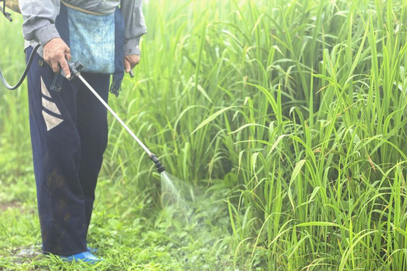 Weed Control Service in Honolulu, HI