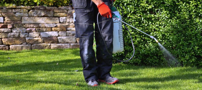 Weed Spraying in Ventura County, CA