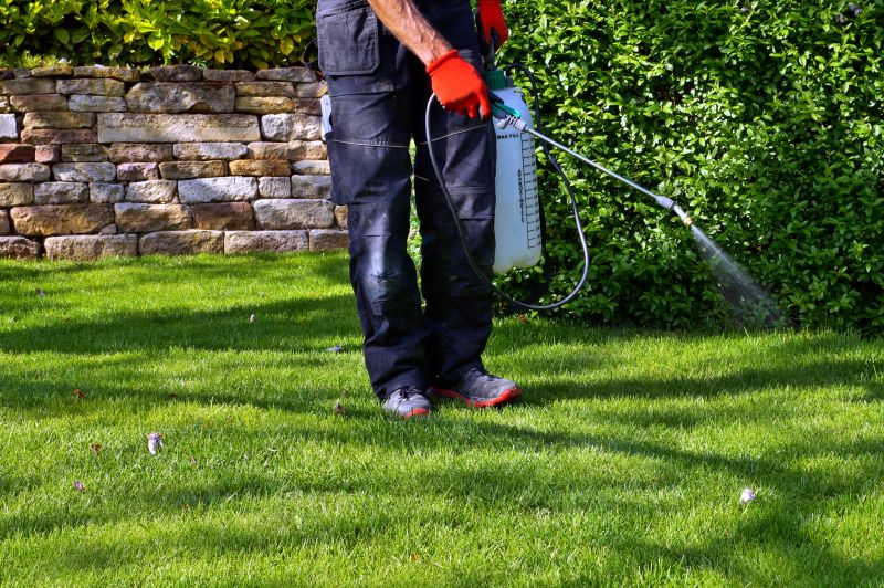 Weed Spraying in Aiken, SC