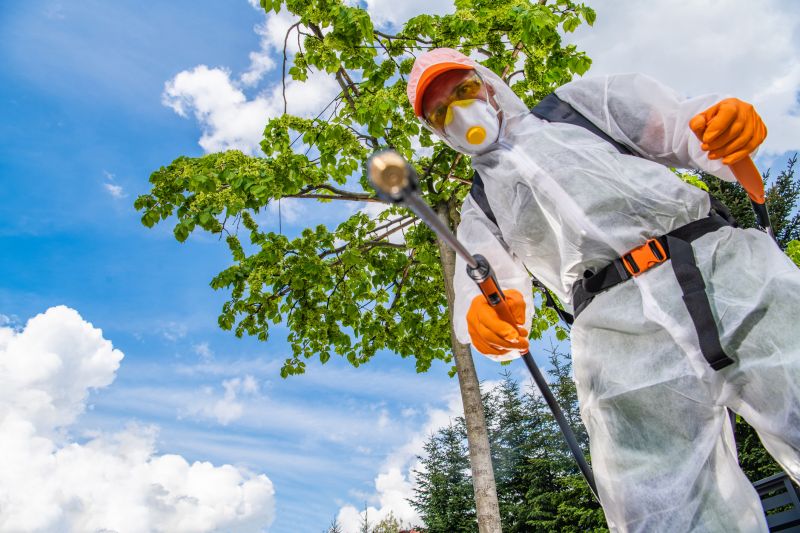 Weed Spraying in Honolulu, HI