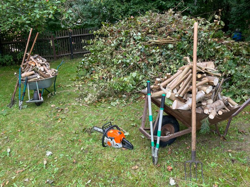 Wood Pile Removal in Honolulu, HI