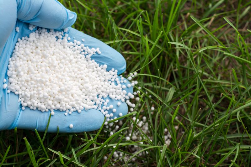 Yard Fertilizing Service in Ventura County, CA