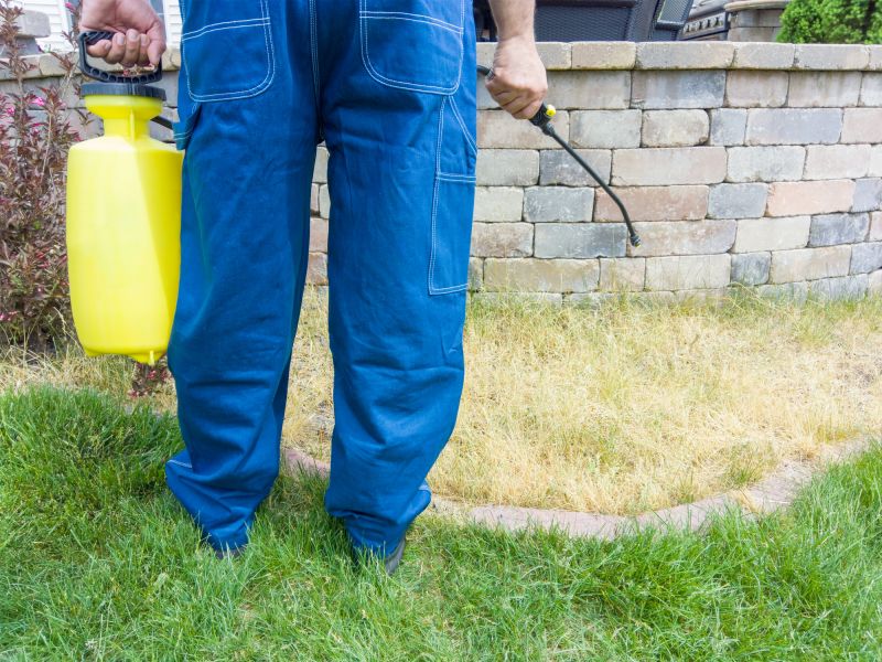 Yard Improvement Service in Honolulu, HI